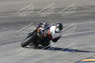 media/Feb-04-2024-SoCal Trackdays (Sun) [[91d6515b1d]]/4-Bowl Backside (11am)/